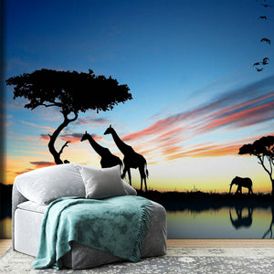  African Sunset Wallpaper