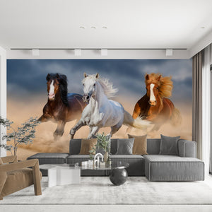  Three Horses Run Gallop Wallpaper Mural