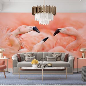  Pink Flamingo Birds Wallpaper