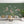 Foxes and Wildflowers Green Background Wall Mural
