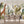 Wallpaper Mural, Tropical trees and Animals Wallpaper, Watercolor Giraffe, Monkey & Birds Wall Mural