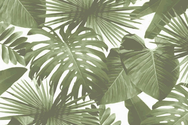 Large Tropical Leaves Wallpaper, Palms or Monstera Leaf Removable Non Woven Wall Mural, Watercolor Green Botanical Wallpapers