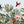 Wallpaper Mural, ArtSide Tropical Birds Wallpaper, Flamingo & Parrots Wall Mural