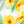 Large Yellow Wallpaper Mural Non Woven Watercolor Botanical Flowers Wallpaper Mural