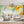 Large Yellow Wallpaper Mural Non Woven Watercolor Botanical Flowers Wallpaper Mural