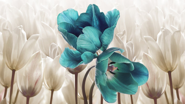Turquoise Tulips Wallpaper Mural, Non Woven Large Flowers Wall Mural, Botanical Wallpaper