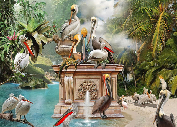 Wallpaper Mural, Pelican Birds and Fountain Wallpaper, Tropical View Wall Mural