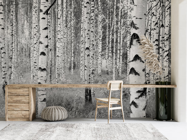 Black and White Forest Wallpaper Mural 