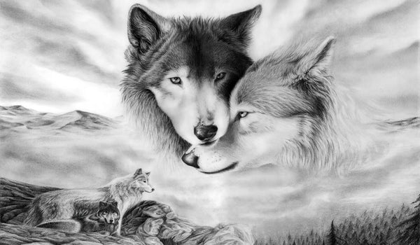 Black and White Wolfes, Black & White Wallpaper, Non Woven, Wolfes Animals Wall Mural