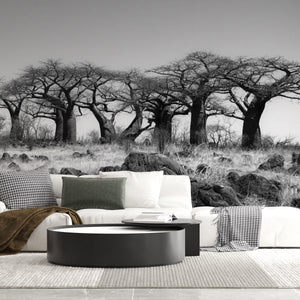 Black & White Wallpaper - African Landscape, Baobab Trees 