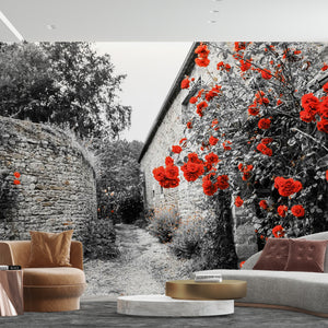 Cityscape Black And White With Red Roses Wall Mural 