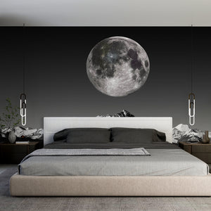 Black and White Moonlight Wallpaper Mural 