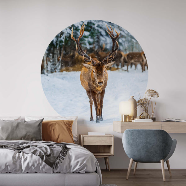 Personalised Circle Stickers, Deer Animal Round Wall Decal, Peel & Stick Vinyl, Self Adhesive Circle Wall Decor, Removable Decal