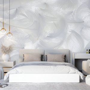 Texture Wallpaper | White Fluffy Feathers Wallpaper