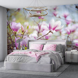  Pink Magnolia Flowers Wallpaper
