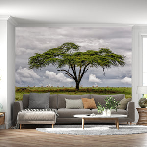  Exotic Tree Wallpaper