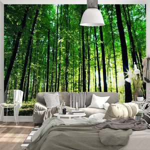  Summer Green Forest Wallpaper