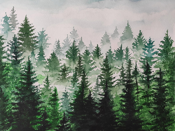 Nature Wallpaper, Non Woven, Fir-trees in the Fog Wallpaper, Forest Watercolor Wall Mural