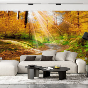  Autumn Deep Forest Wallpaper