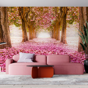  Pink Blossom Flowers Wallpaper