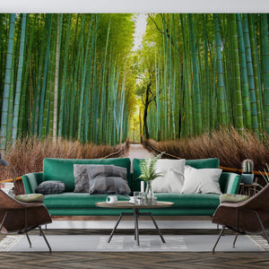  Bamboo Forest Wallpaper