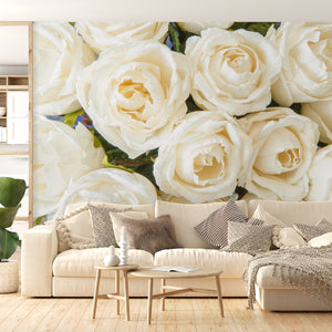  Beige Rose Flowers Wallpaper