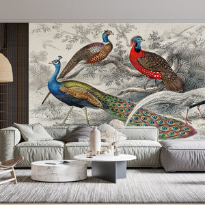 Fresco Mural | Colorful Peacock Birds Wallpaper