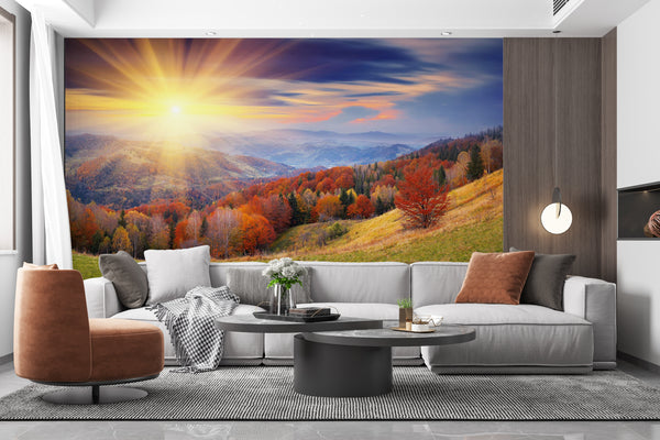  Sunny Autumn Forest Wallpaper