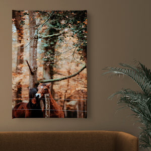 Canvas Wall Poster -  Autumn Forest & Horses