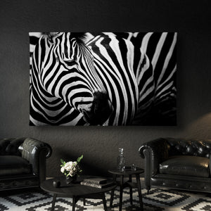 Canvas Wall Poster -  Black & White Zebra