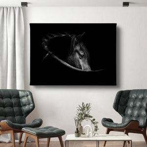 Canvas Wall Poster -  Black Horse