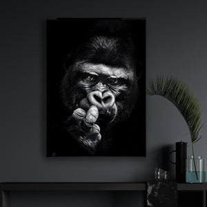Canvas Wall Poster -  Monckey