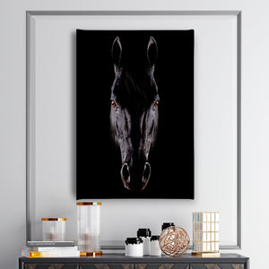 Canvas Wall Poster -  Black Gorgeous Horse