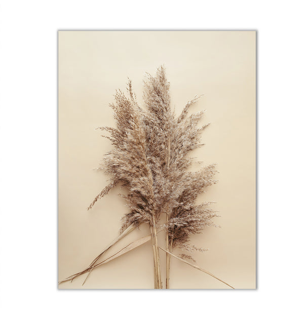 Canvas Wall Art, Boho Dried Reed Grass, Wall Poster