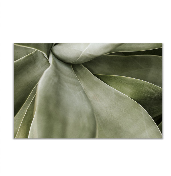 Canvas Wall Art, Aesthetic Green Leaf Element, Wall Poster
