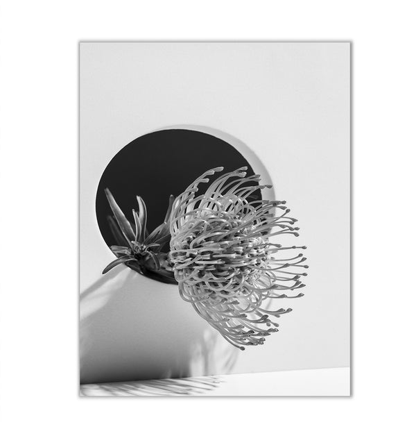 Canvas Wall Art, Black & White Flower Element, Wall Poster