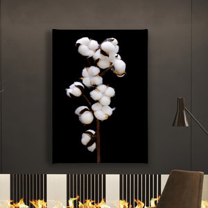 Canvas Wall Art  -  Dry Cotton Branch on Black Background