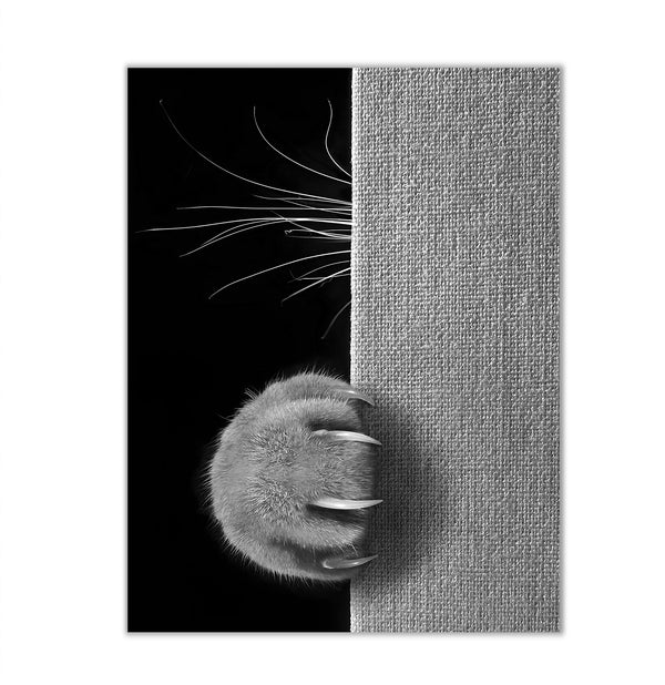 Canvas Wall Art, Lion's paw, Wall Poster