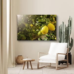 Wall Art - Lemon Branch