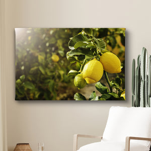 Canvas Wall Art - Lemon Branch