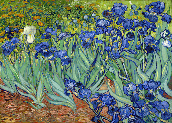 Canvas Wall Art, Purple Irises – Vincent van Gogh Wall Poster