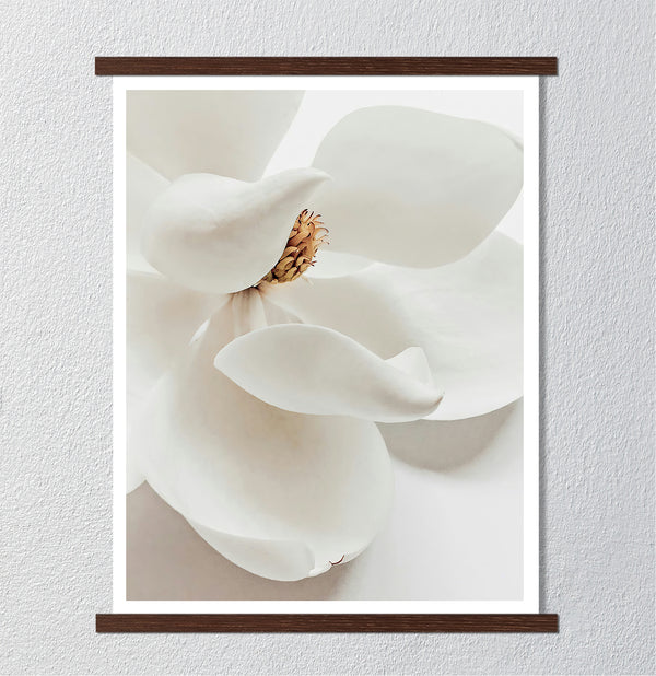 Canvas Wall Art, White Magnolia Flower Wall Poster
