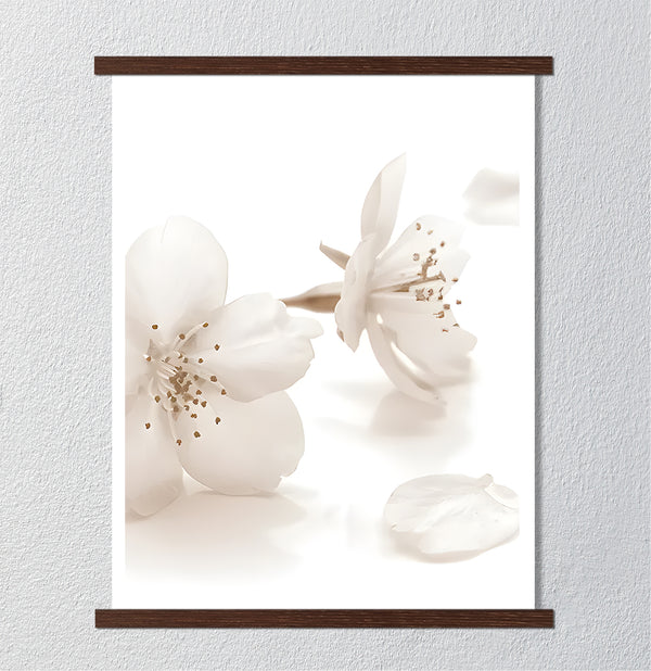 Canvas Wall Art, White Jasmine Soft Flower Wall Poster