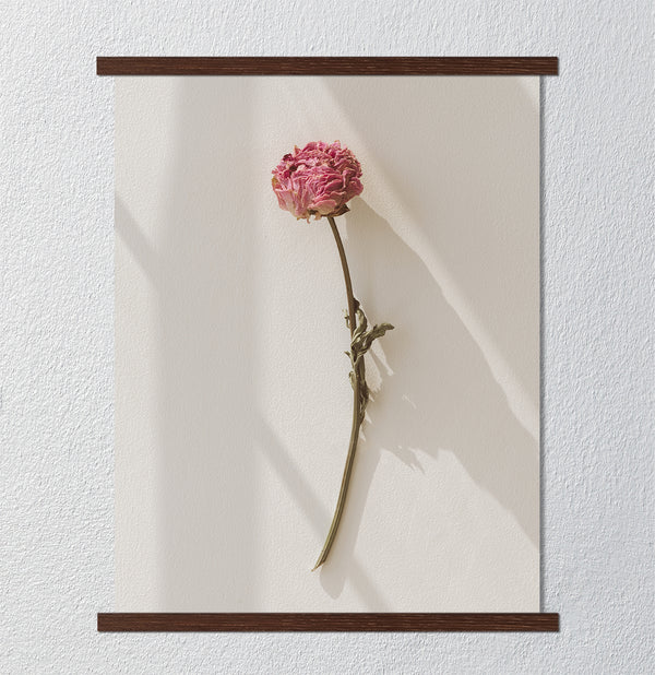 Canvas Wall Art, Dried Pink Peony Flower Wall Poster