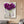 Canvas Wall Poster - Purple Flower Bouquet