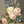 Canvas Wall Poster, Retro Soft Multiflower Flower Bouquet, Wall Art