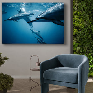 Wall Poster - Dolphins under the Water 