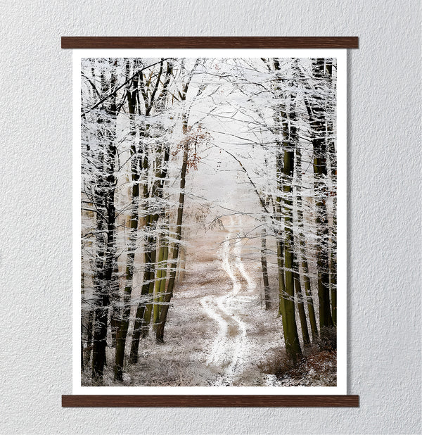Canvas Wall Poster, Autumn Forest, Wall Art