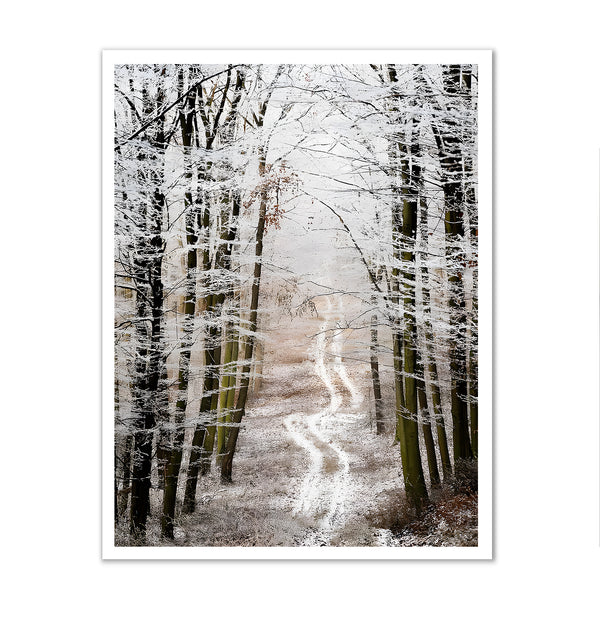 Canvas Wall Poster, Autumn Forest, Wall Art