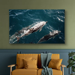 Wall Art - Dolphins in the Sea